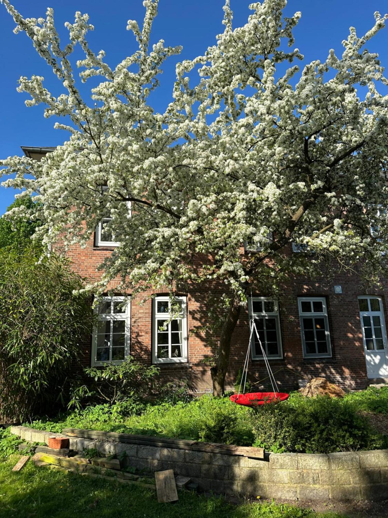 Altes Pastorat Barmstedt Exterior foto