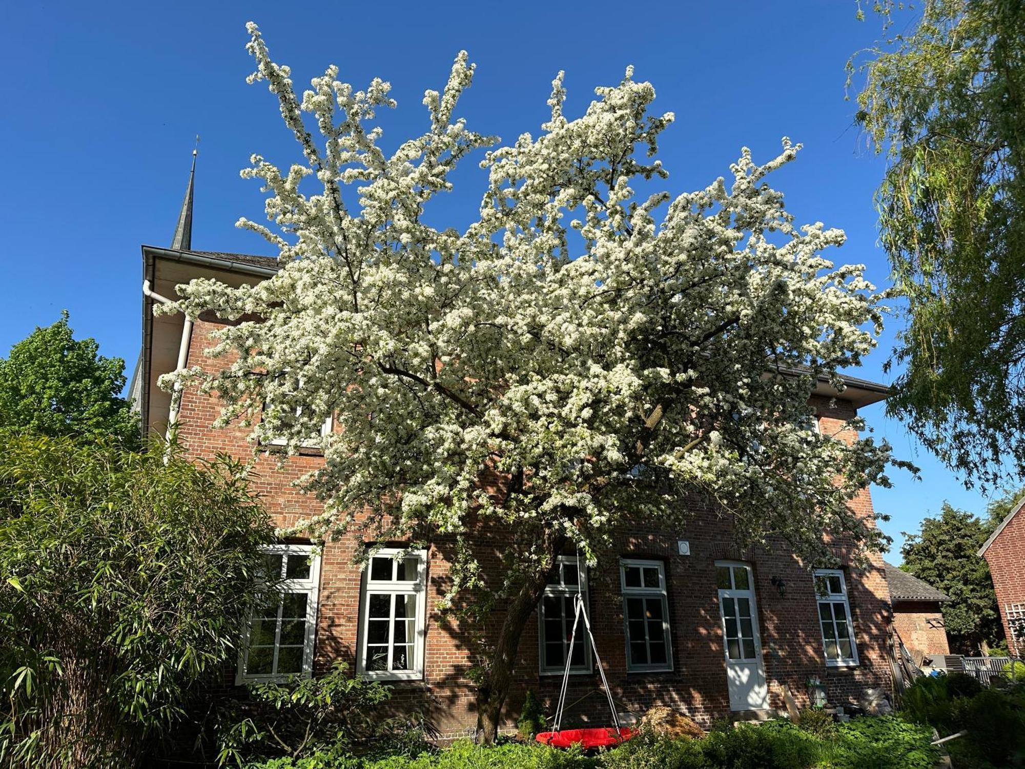 Altes Pastorat Barmstedt Exterior foto